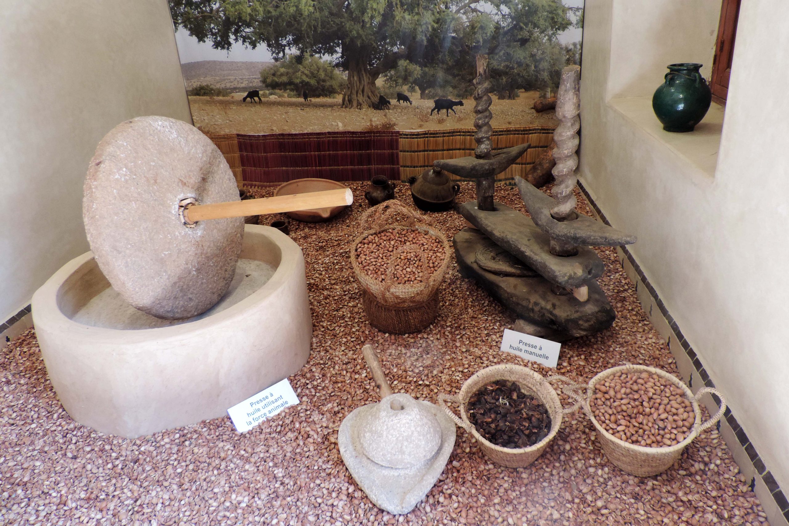 Le Musée du Parfum de Marrakech : les Étapes de la fabrication d'huile d'argan