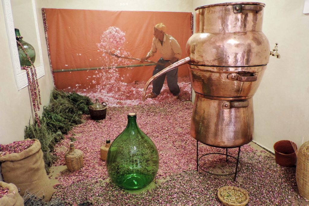 Le Musée du Parfum de Marrakech , la distillation de l'eau de rose