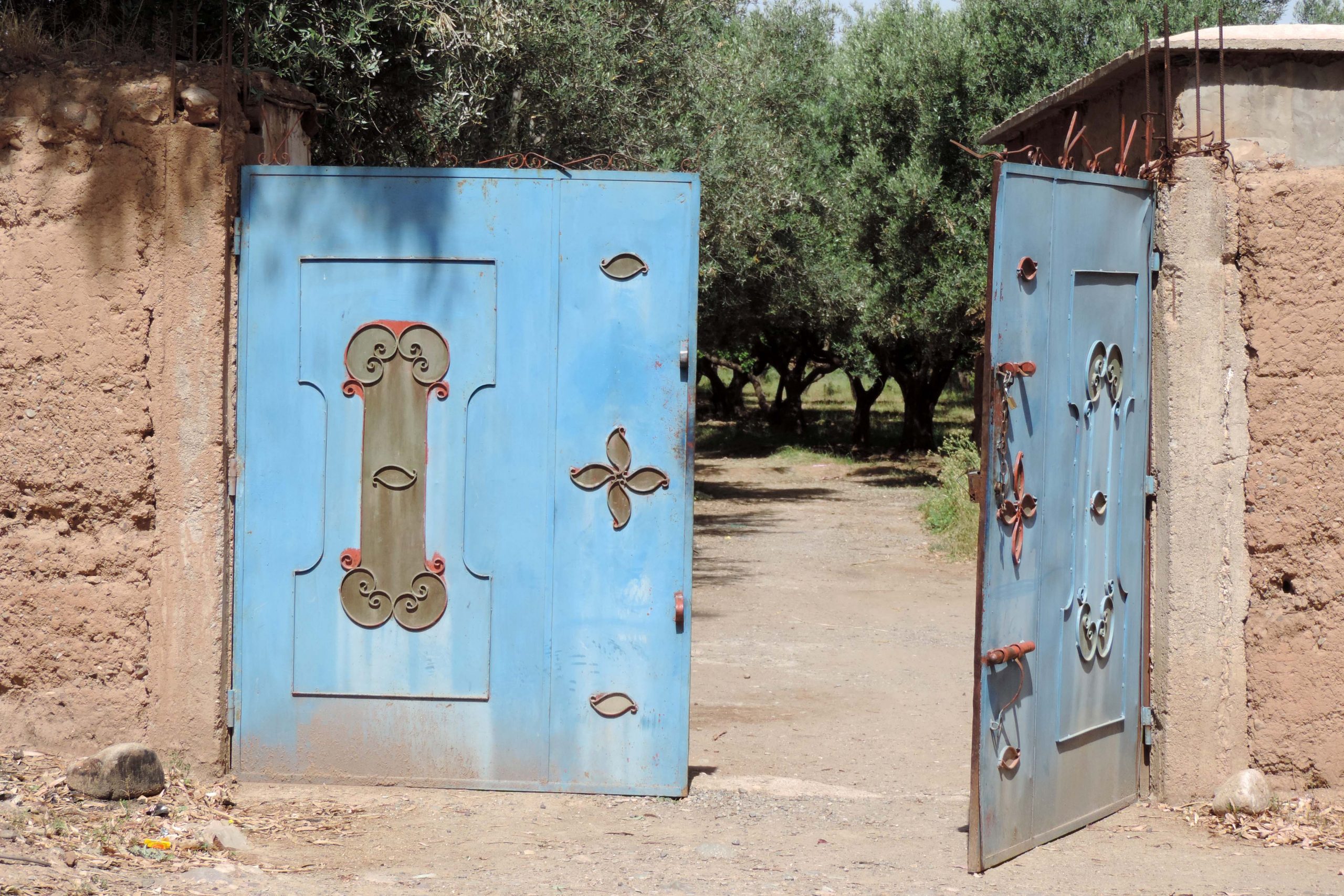Porte ouverte sur une oliveraie,, Marrakech excursion