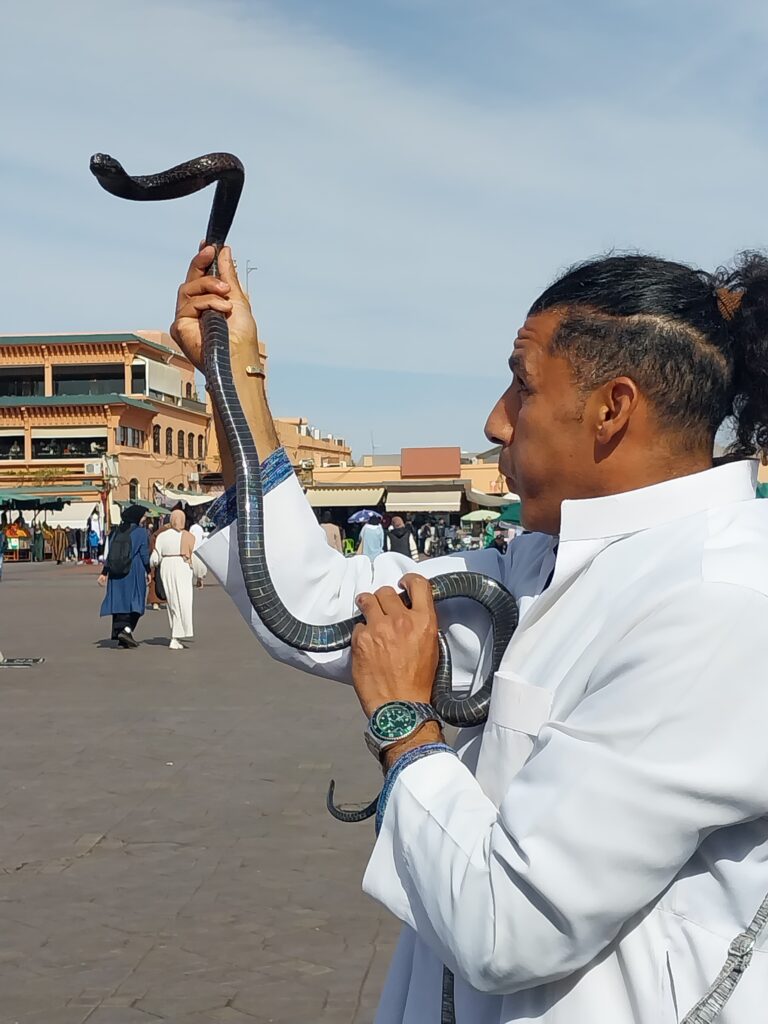 Marrakech, Jemaâ el Fna serpent tradition